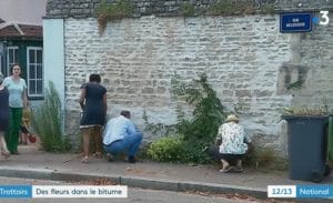 Caen au pied du mur : une initiative qui fleurit les trottoirs
